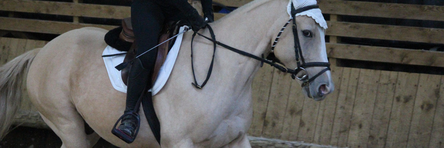 Equitation Classique
