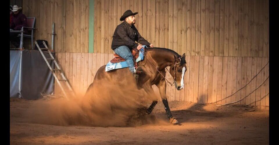 concours western reining